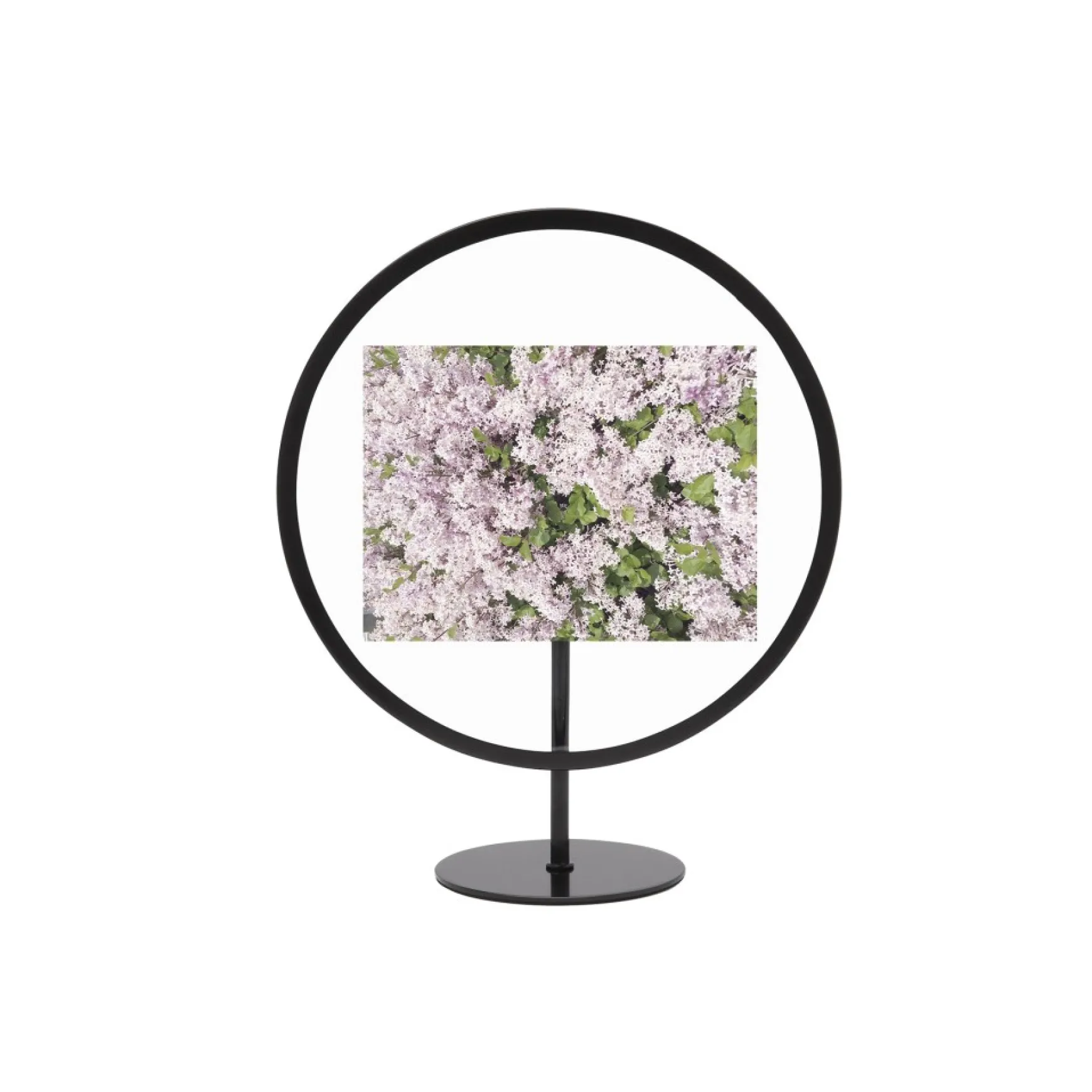 Photo Frames*Umbra 4 X 6 Photo Frame - Infinity