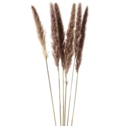 Dried Stems & Flowers*Gift Craft Brown Feathers Steams - 28"