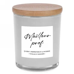 Decorative Candles*Attitudes Import 2 Candle - Meilleur Prof