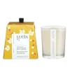 Scented Candles*Pure Living Candle 20H - Tea Leaf And Honey Flower