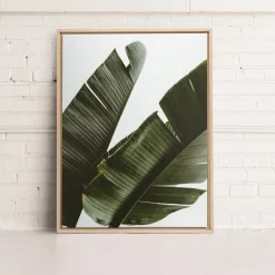 Canvases*Kozy X Oleka Canvas - Banana Tree
