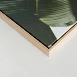 Canvases*Kozy X Oleka Canvas - Banana Tree