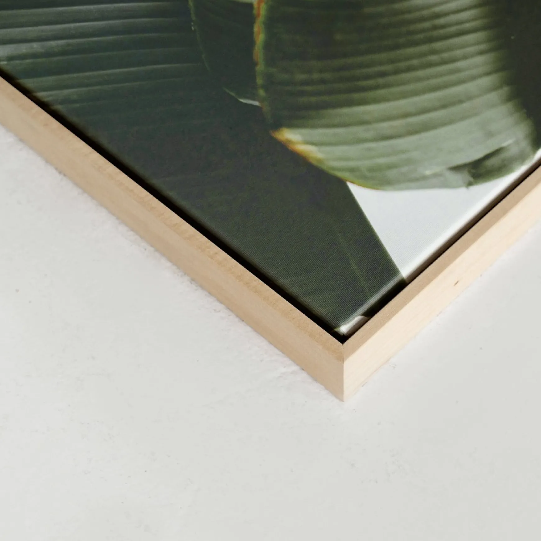 Canvases*Kozy X Oleka Canvas - Banana Tree