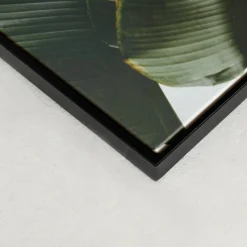 Canvases*Kozy X Oleka Canvas - Banana Tree