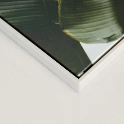 Canvases*Kozy X Oleka Canvas - Banana Tree