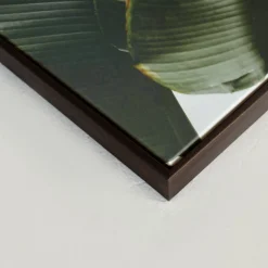 Canvases*Kozy X Oleka Canvas - Banana Tree