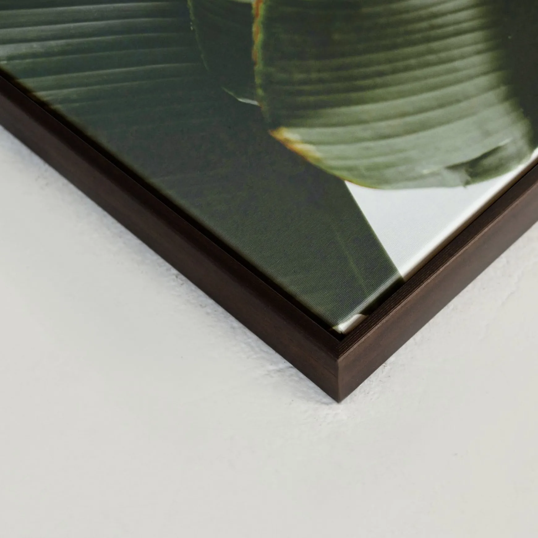 Canvases*Kozy X Oleka Canvas - Banana Tree