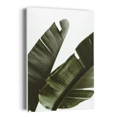 Canvases*Kozy X Oleka Canvas - Banana Tree