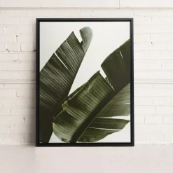 Canvases*Kozy X Oleka Canvas - Banana Tree