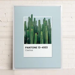 Canvases*Oleka Canvas Canvas - Cactus