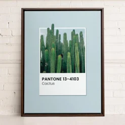Canvases*Oleka Canvas Canvas - Cactus
