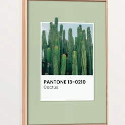 Canvases*Oleka Canvas Canvas - Cactus