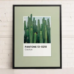 Canvases*Oleka Canvas Canvas - Cactus