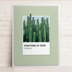 Canvases*Oleka Canvas Canvas - Cactus
