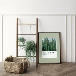 Canvases*Oleka Canvas Canvas - Cactus