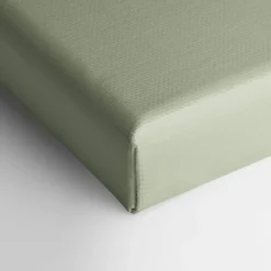 Canvases*Oleka Canvas Canvas - Cactus