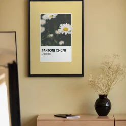 Canvases*Oleka Canvas Canvas - Daisies