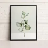 Canvases*Kozy X Oleka Canvas - Eucalyptus