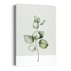 Canvases*Kozy X Oleka Canvas - Eucalyptus