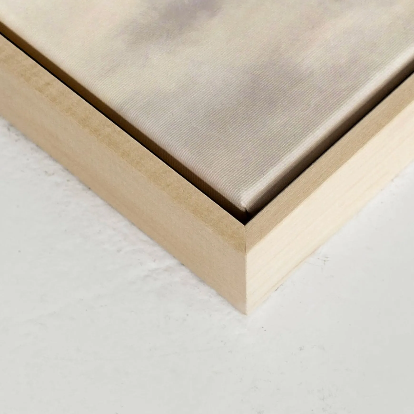 Canvases*Oleka Canvas Canvas - Frost