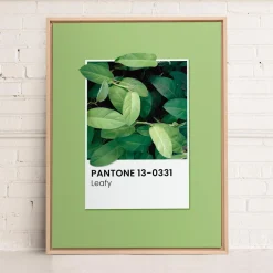 Canvases*Oleka Canvas Canvas - Leafy