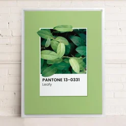 Canvases*Oleka Canvas Canvas - Leafy