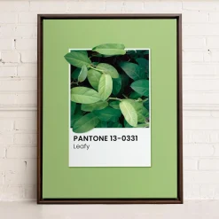 Canvases*Oleka Canvas Canvas - Leafy