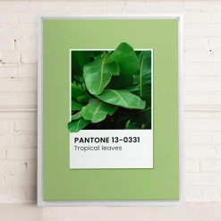 Canvases*Oleka Canvas Canvas - Leaves