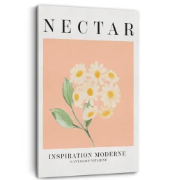 Canvases*Kozy X Oleka Canvas - Nectar
