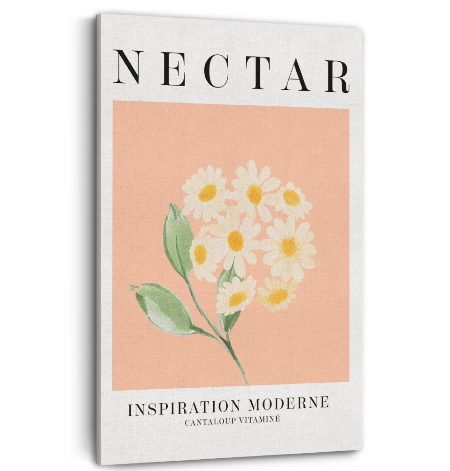 Canvases*Kozy X Oleka Canvas - Nectar