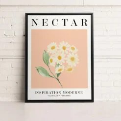 Canvases*Kozy X Oleka Canvas - Nectar