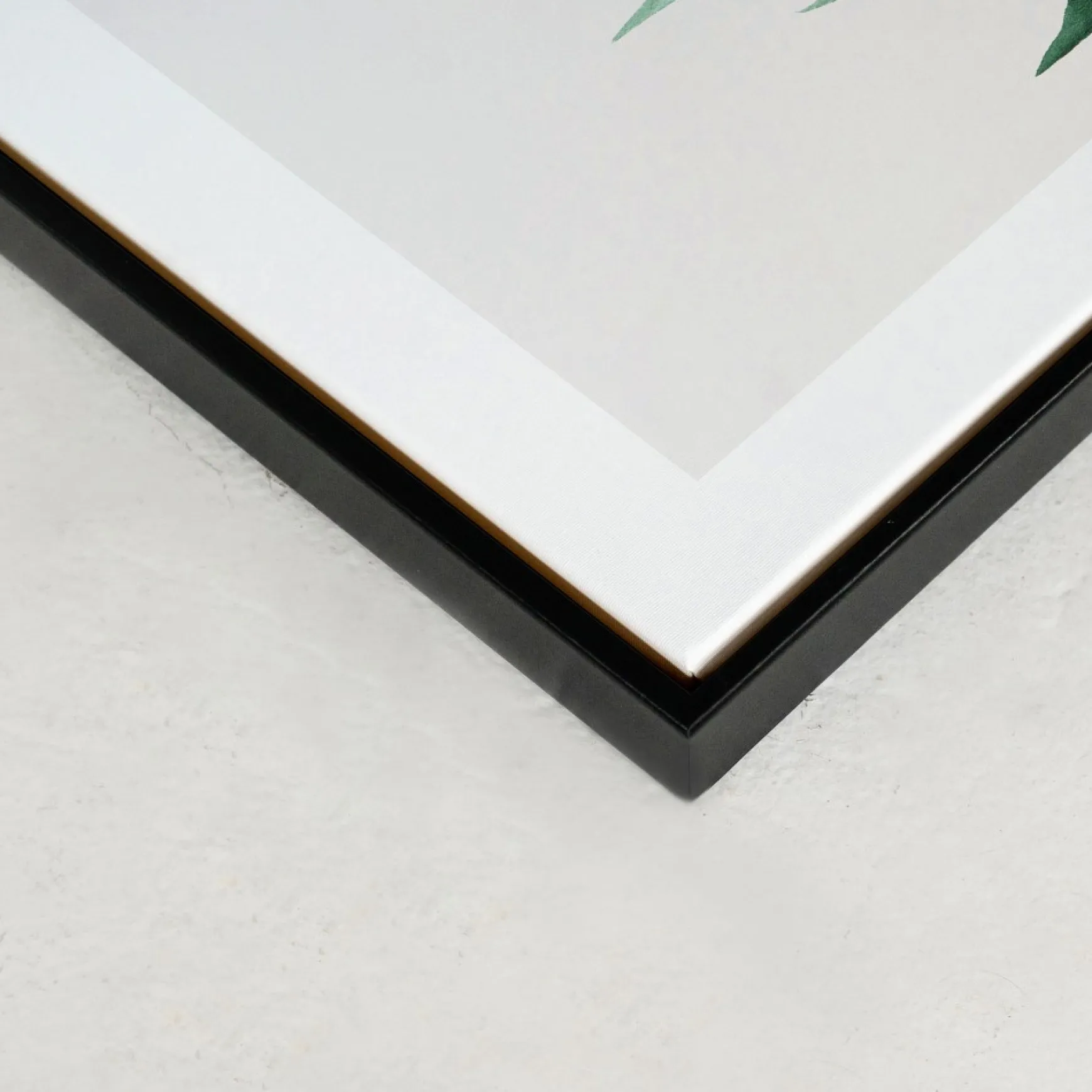 Canvases*Kozy X Oleka Canvas - Tropical I