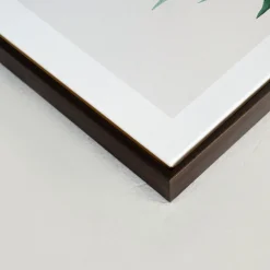 Canvases*Kozy X Oleka Canvas - Tropical I