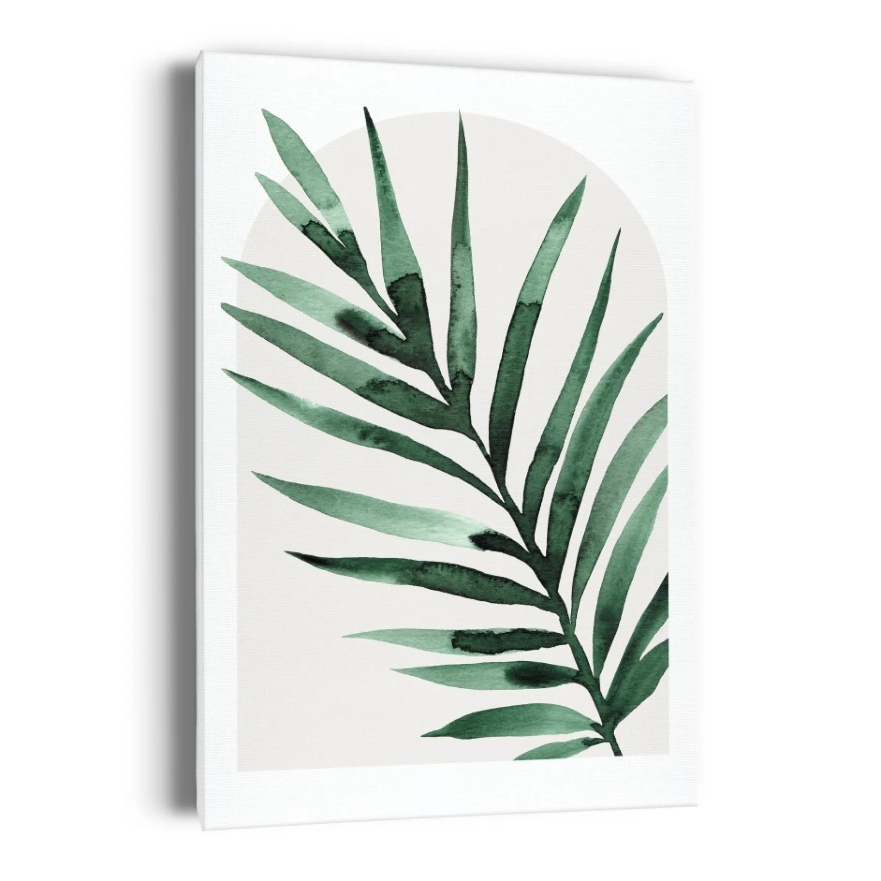 Canvases*Kozy X Oleka Canvas - Tropical I