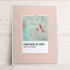 Canvases*Oleka Canvas Canvas - White Petals