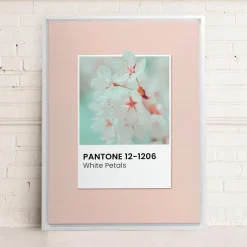 Canvases*Oleka Canvas Canvas - White Petals