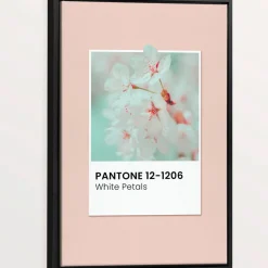 Canvases*Oleka Canvas Canvas - White Petals