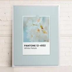 Canvases*Oleka Canvas Canvas - White Petals