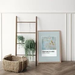 Canvases*Oleka Canvas Canvas - White Petals