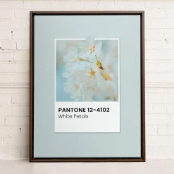 Canvases*Oleka Canvas Canvas - White Petals