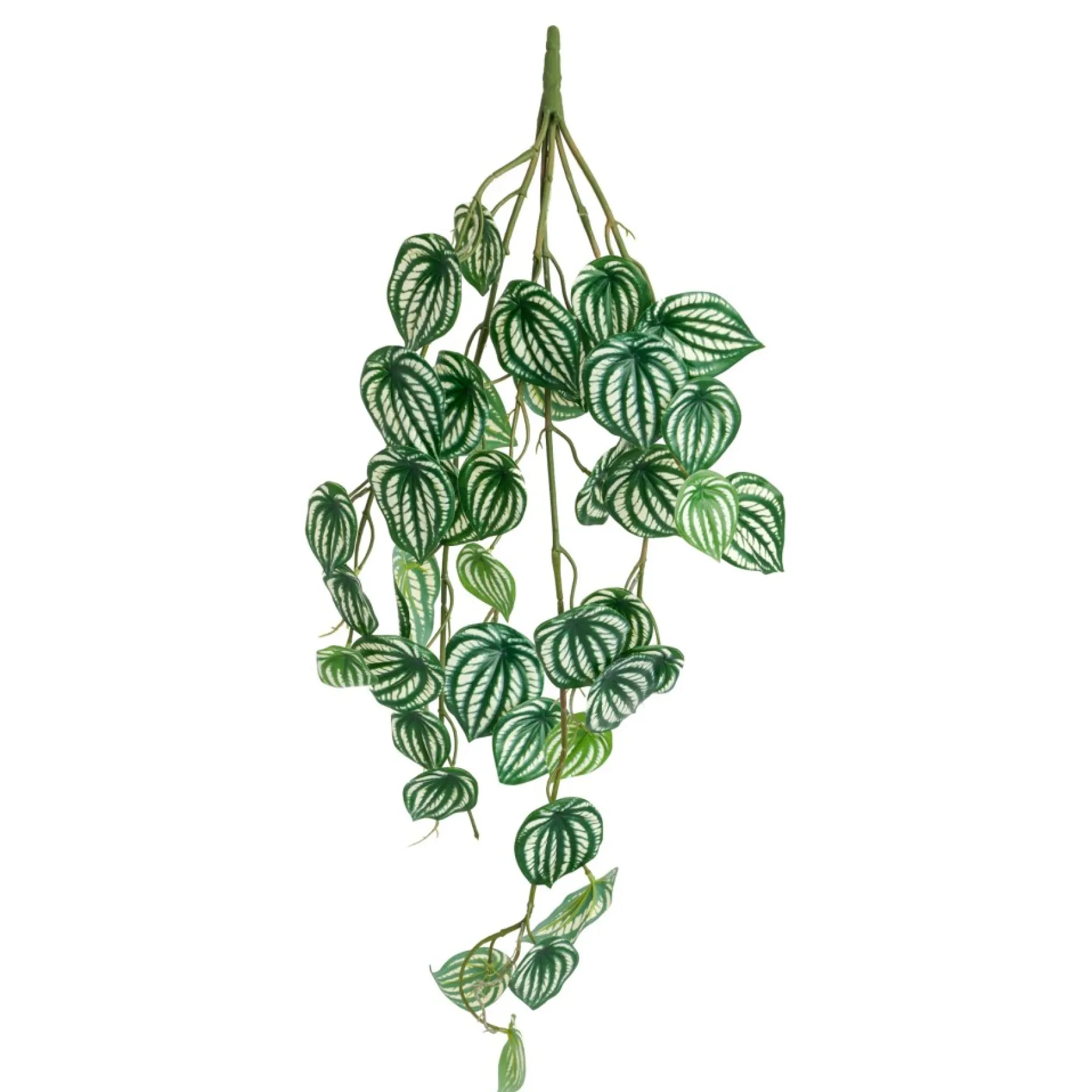 Greenery*Torre Tagus Falling Plant - Peperomia