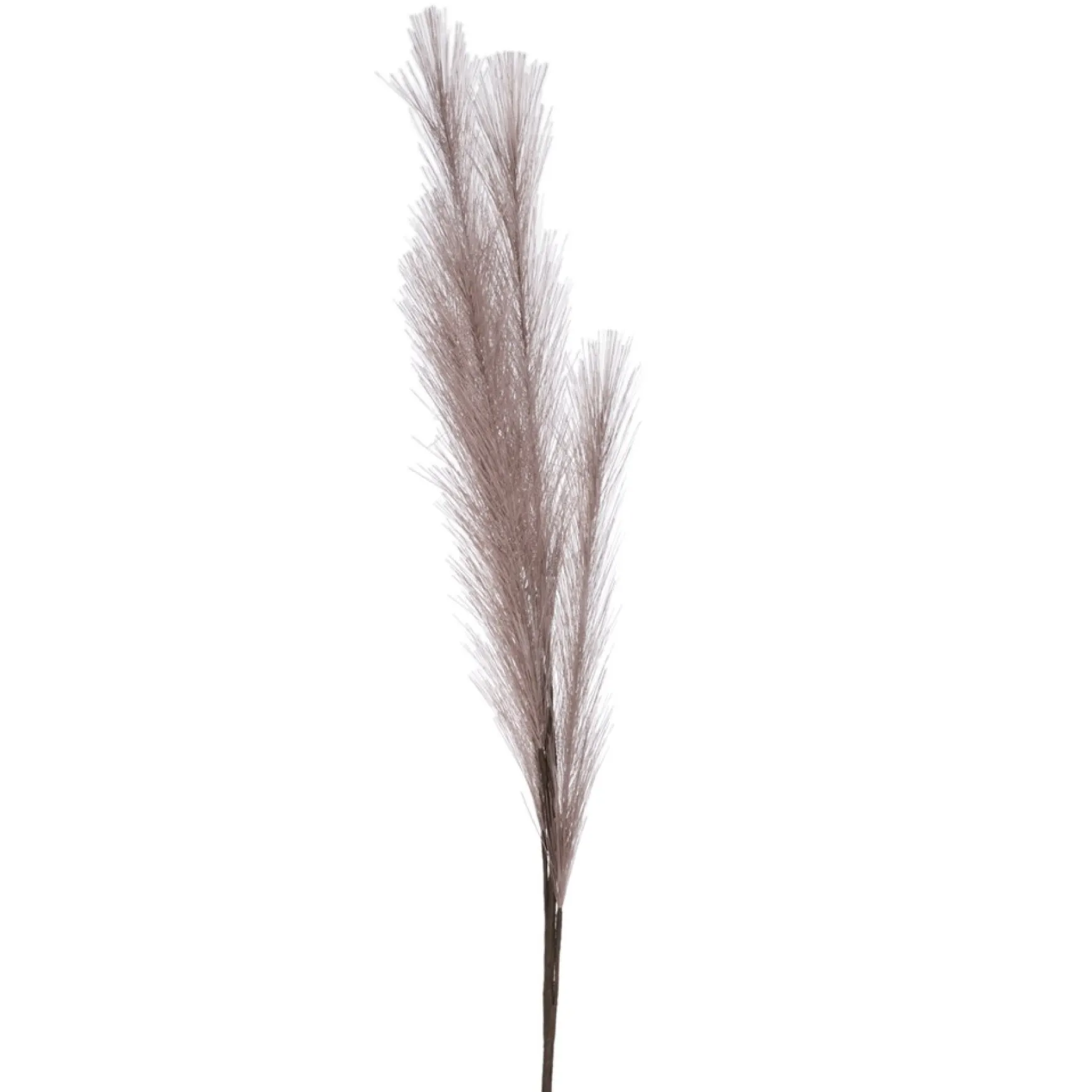 Dried Stems & Flowers*Attitudes Import 2 Feather Branch - Taupe