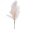 Dried Stems & Flowers*Attitudes Import 2 Feather Stem - Beige
