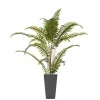 Arrangements*Nostalgia Import Fern In Large Pot - Grey