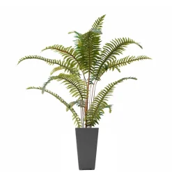 Arrangements*Nostalgia Import Fern In Large Pot - Grey
