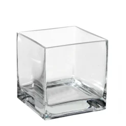 Vases & Pots*Danson Decor Glass Vase - Square