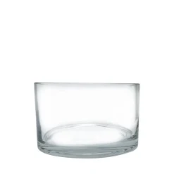 Vases & Pots*Botanico Glass Vase 5 X 3