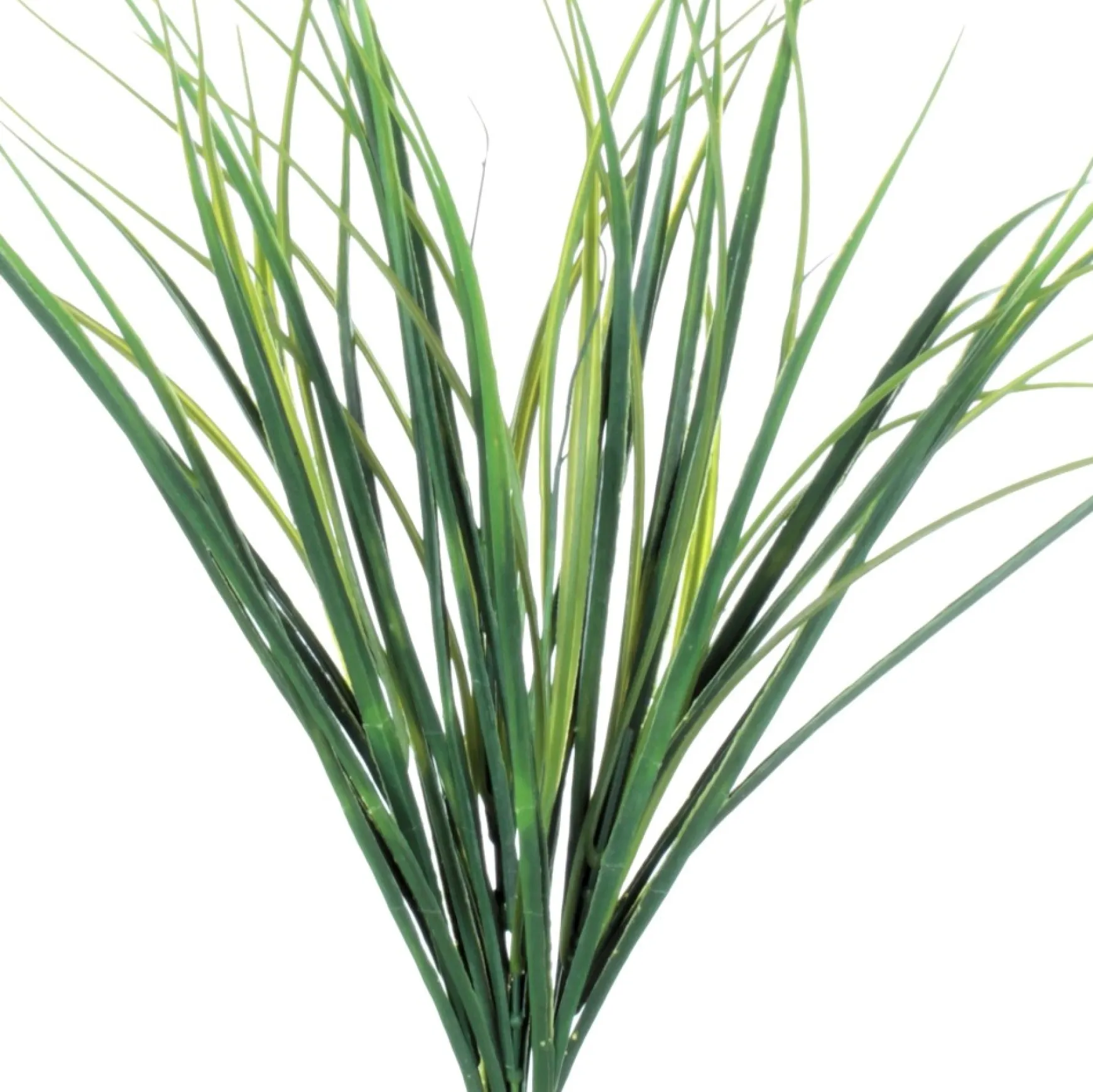Greenery*Danson Decor Grass Bouquet - 18"