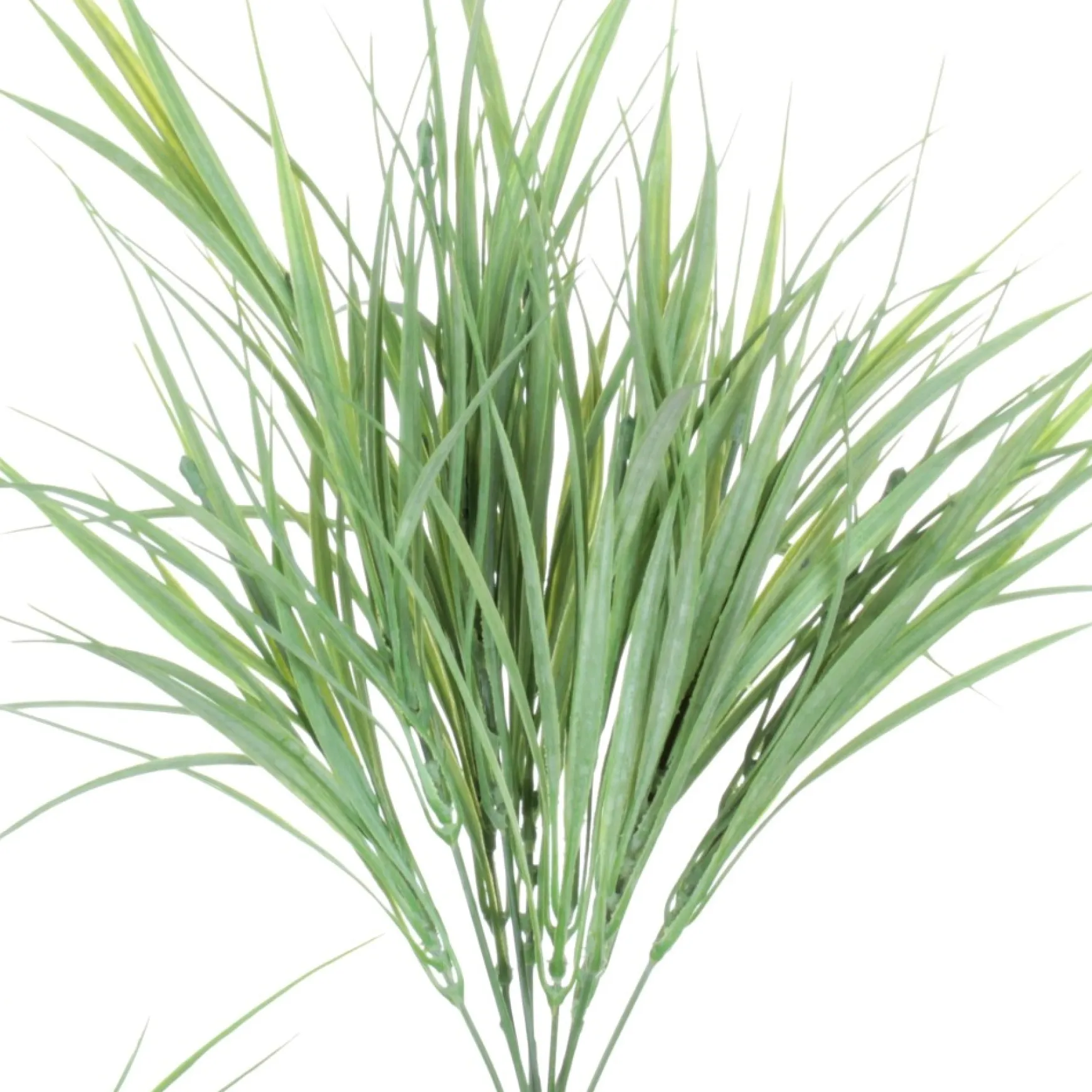 Greenery*Danson Decor Grass Bouquet - 18"