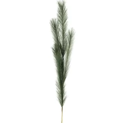 Dried Stems & Flowers*Attitudes Import Green Feather Stem